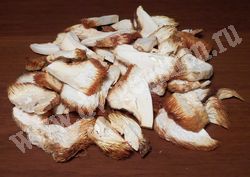 Сушёный гриб ежевик гребенчатый (грибная лапша, дедова борода)