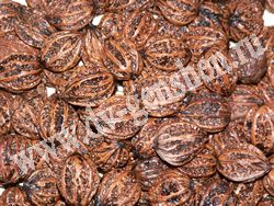 Семена ореха маньчжурского