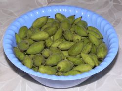 Плоды молочной зрелости ореха маньчжурского для настойки